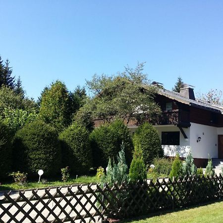 Schwarzwald - Villa Appartments Titisee Esterno foto