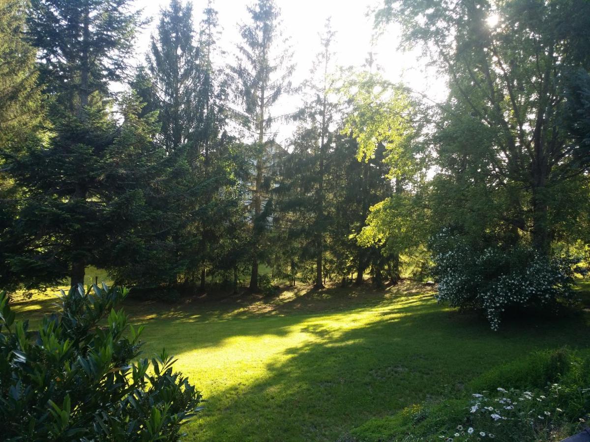 Schwarzwald - Villa Appartments Titisee Esterno foto