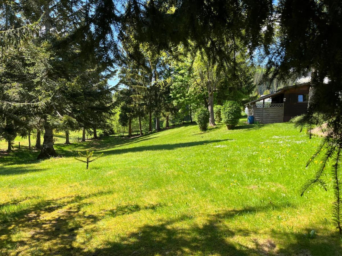 Schwarzwald - Villa Appartments Titisee Esterno foto