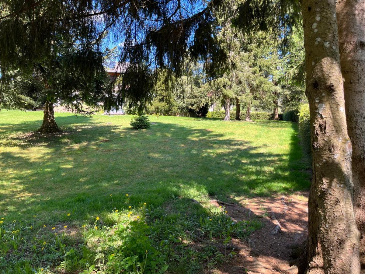 Schwarzwald - Villa Appartments Titisee Esterno foto