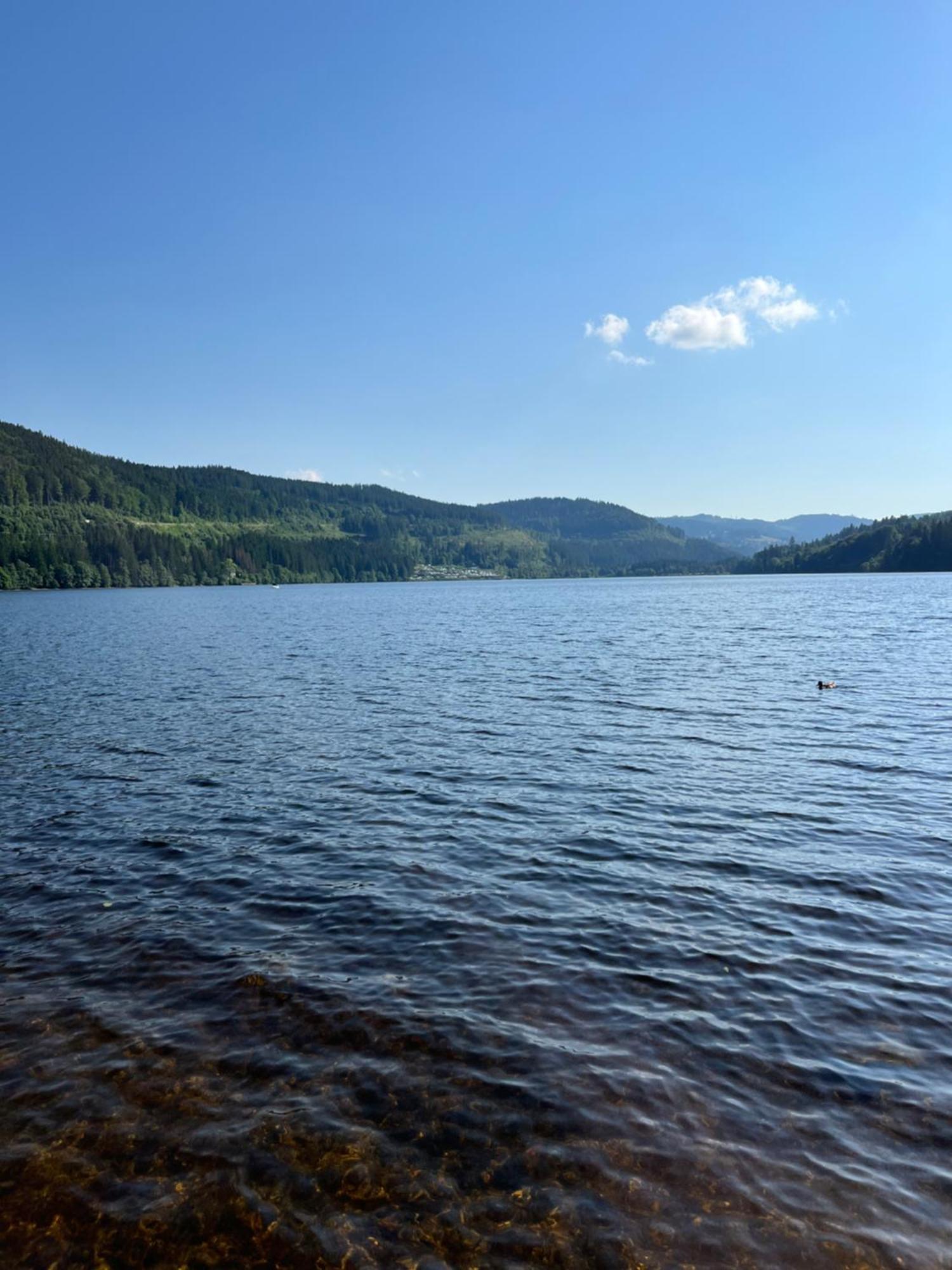 Schwarzwald - Villa Appartments Titisee Esterno foto
