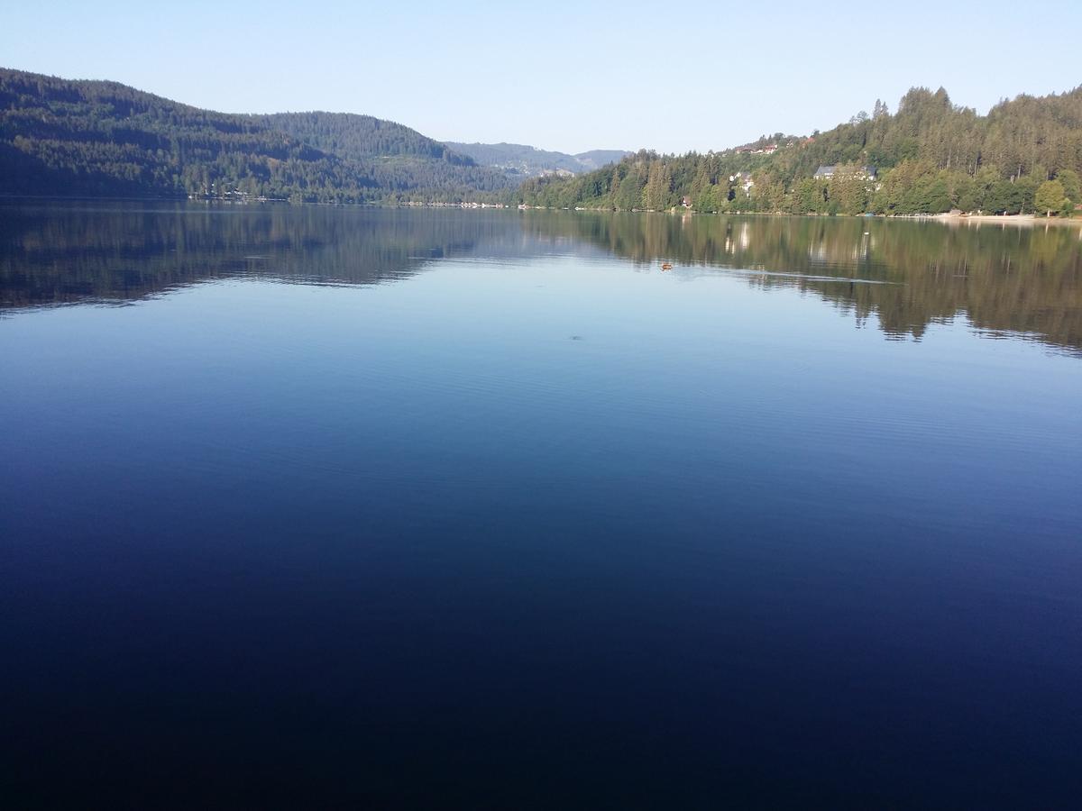 Schwarzwald - Villa Appartments Titisee Esterno foto
