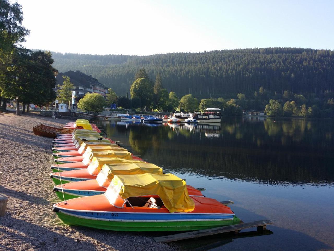 Schwarzwald - Villa Appartments Titisee Esterno foto