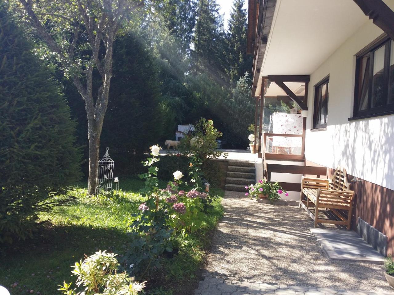 Schwarzwald - Villa Appartments Titisee Esterno foto