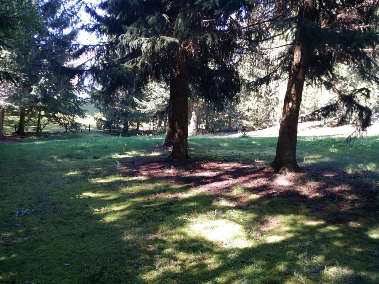 Schwarzwald - Villa Appartments Titisee Esterno foto