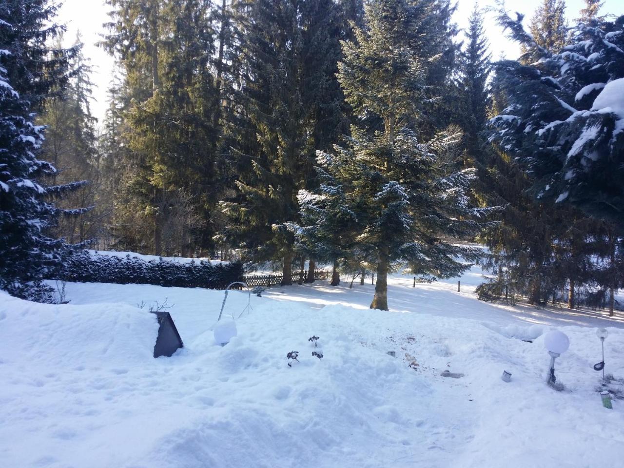 Schwarzwald - Villa Appartments Titisee Esterno foto